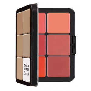 Hot Selling 12 Color Iron Box Concealer Blush Cream Matte Highlight Contour Makeup All In One Tray - Körperpflegegeräte