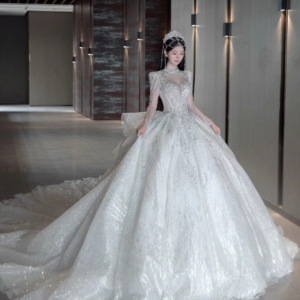 Women's Clothing wedding dress with long train retro palace style starry sky princess dress with mid sleeves simple and sl...
