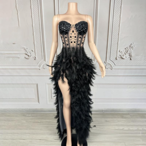 Women's Clothing Black Swan Temperament Full Diamond Feather Dress Model Catwalk Fashion Birthday Dress - Damenbekleidung