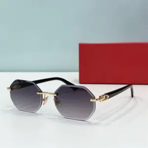 brand designer no Frame CT0439S Mens Outdoor Sunglasses Retro Glasses and Women for women sunglasses With gift box - Herre...