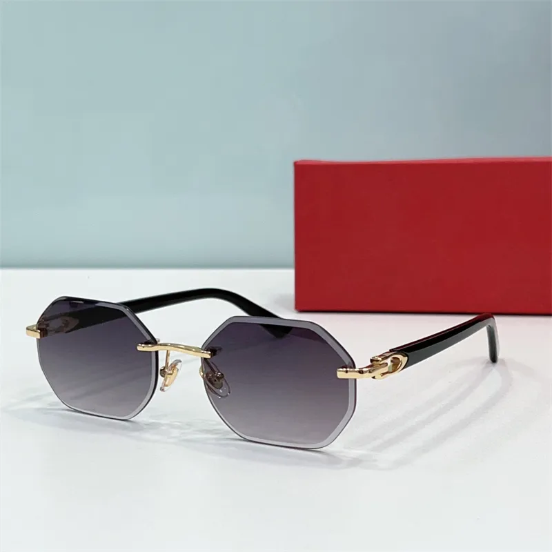 brand designer no Frame CT0439S Mens Outdoor Sunglasses Retro Glasses and Women for women sunglasses With gift box - Herre...