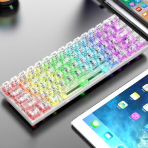 Dazzling Silver Fox K30 Pro Wireless Bluetooth the third mock examination Transparent 61 Key Mechanical White Axis - Compu...