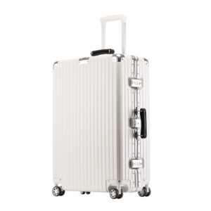 Durable Aluminum Frame Suitcase With 360° Spinner Wheels - 20" Carry-On & 24"/26"/29" Check-In Luggage - Lightweight ABS+P...